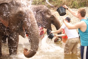 Bath time with the elephants. They love this. Darryl and Scott giving them a great wash.