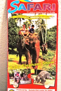 A tourist brochure advertising elephant riding and a baby elephant show that I picked up while in southern Thailand.