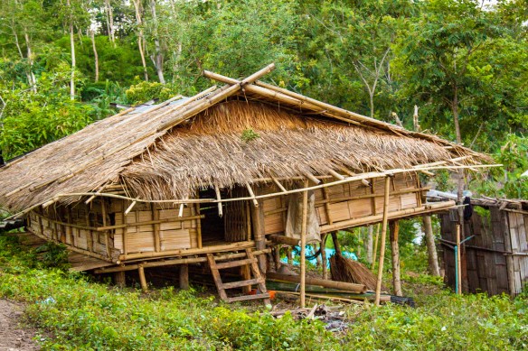 Thatch roof hut directly across from the housewarming party. 