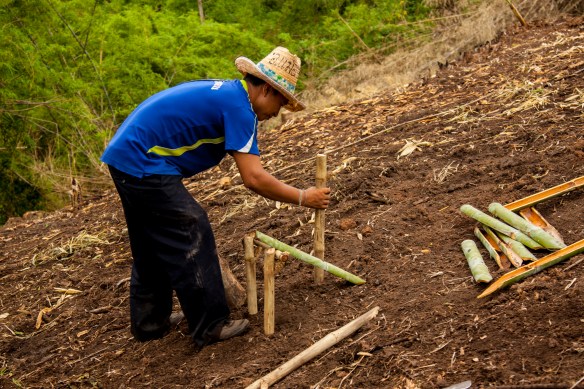 Building a spirit house on the mountain. 