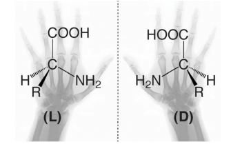 Enantiomers are often said to be "left" or "right- handed" indication the D or L configuration. 